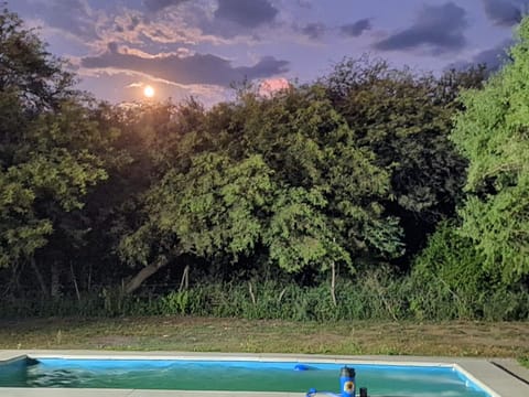 Pool view