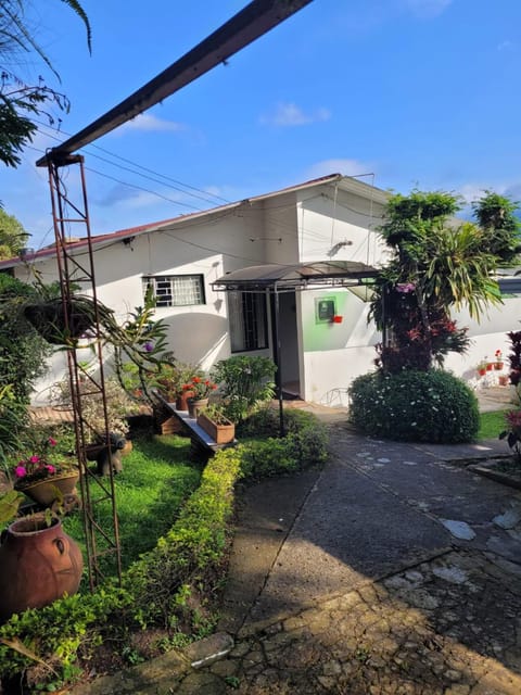 Property building, Garden, Garden view