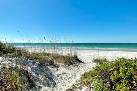 The Turtle's Nest House in Indian Rocks Beach