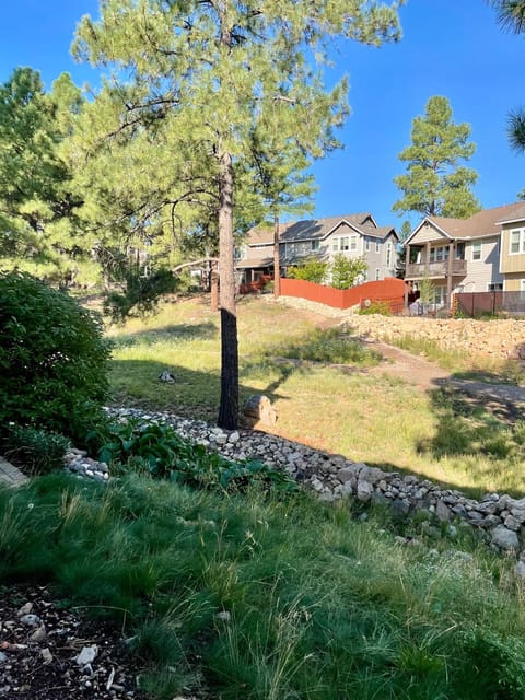 Peace in the Pines House in Flagstaff