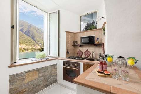 Natural landscape, Kitchen or kitchenette, Mountain view, stove