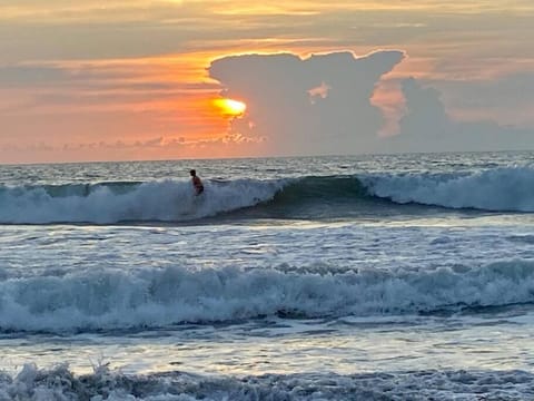 Fishing, Beach, Windsurfing, Sunrise