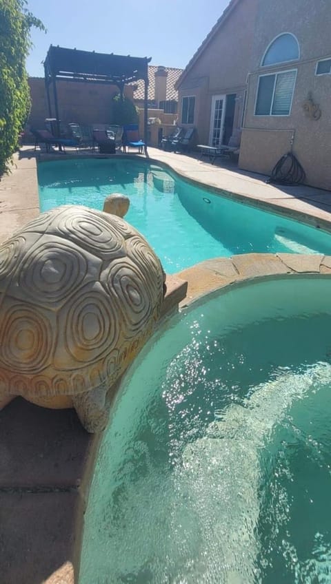 Pool view, Swimming pool