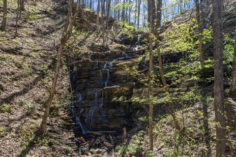 Whiskey Falls Cottage House in Sevierville