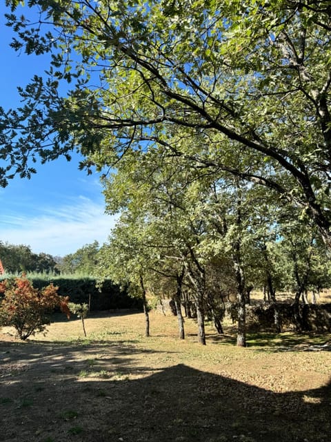 Spring, Day, Natural landscape, Garden, Garden view