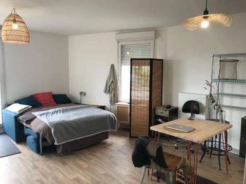 Studio entier 20 minutes de Châtelet Apartment in Paris