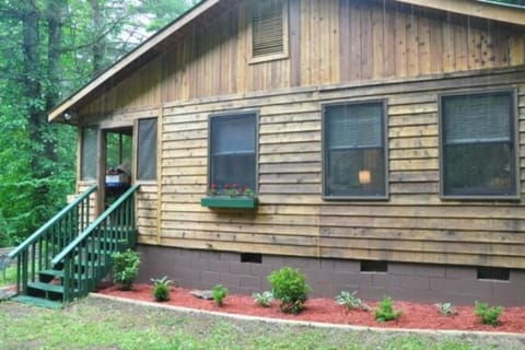 Dragonfly Cabin Casa in Bryson City