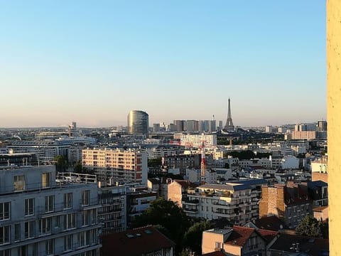 Apartment with a superb view on Eiffel Tower Apartment in Issy-les-Moulineaux