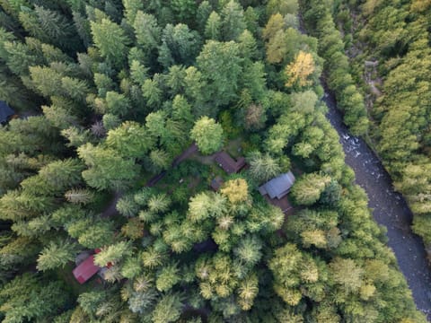 Whispering Pines - Cabin w hot tub House in Mount Hood Village