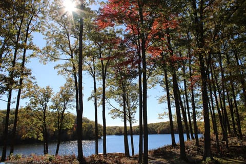 Spring, Natural landscape, Lake view