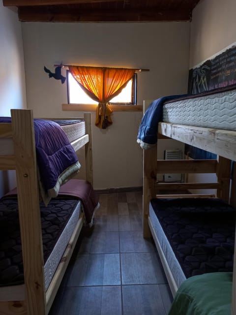 Bed, Photo of the whole room, Bedroom, bunk bed