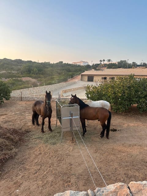 Camping Algarve Casa Lusitana Campground/ 
RV Resort in Ferragudo