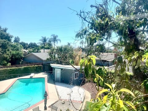 Garden, Garden view, Swimming pool