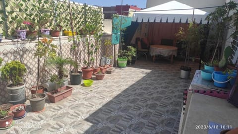 Patio, Day, Garden, Balcony/Terrace