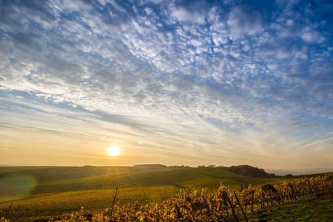 Day, Natural landscape, Summer, Hiking, Autumn, Sunset