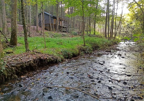 706 On The Creek House in Roswell