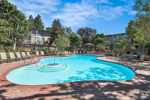 Pool view, Swimming pool