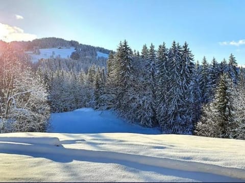 Chalet indépendant avec spa, sauna et cheminée à Notre-Dame-de-Bellecombe - 10 pers - FR-1-595-102 Chalet in Notre-Dame-de-Bellecombe