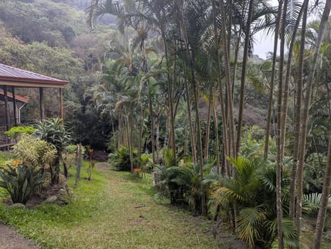 Refugio privado en la montaña House in Cartago Province, Costa Rica