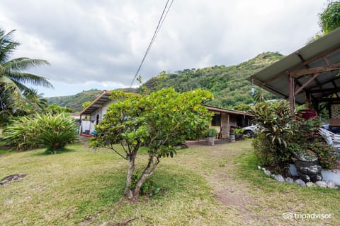 Natural landscape, Garden, Garden view, Mountain view