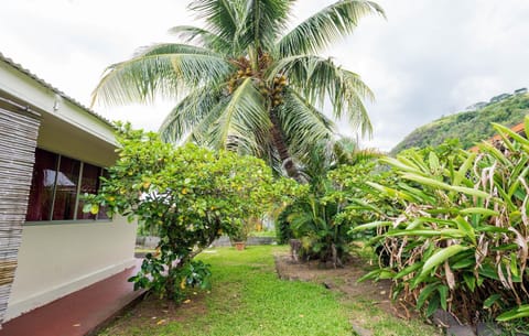 Inner courtyard view