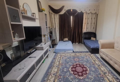 Furnished studio apartment Apartment in Ajman