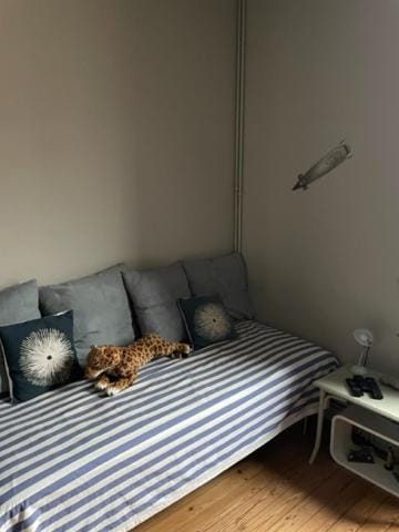 TV and multimedia, Bedroom