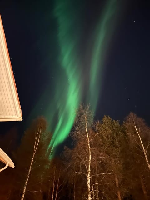 Elves Cabin Wagon Natur-Lodge in Rovaniemi