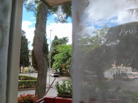 Neighbourhood, Balcony/Terrace, Garden view, Street view