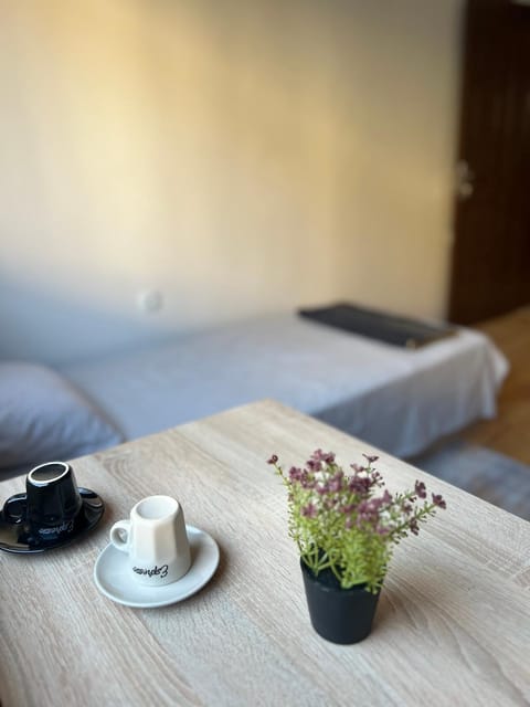 Top Spot Pleven Apartment in Pleven