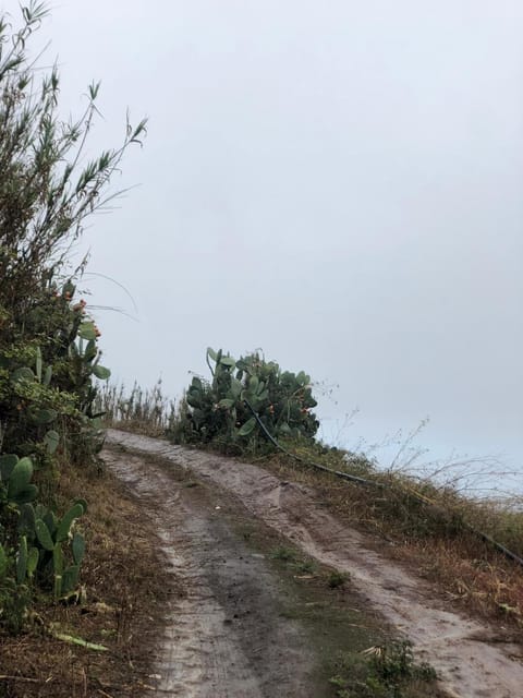 Finca Di Carmen Country House in Comarca Norte