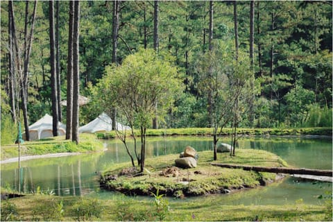 Spring, Day, Natural landscape, Garden, Garden view, Lake view