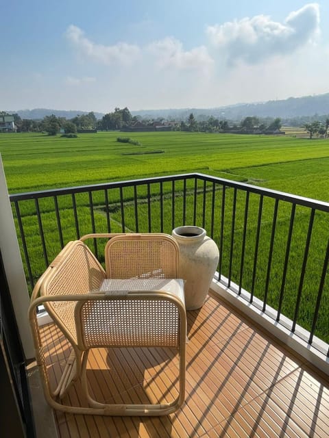 Balcony/Terrace, Balcony/Terrace