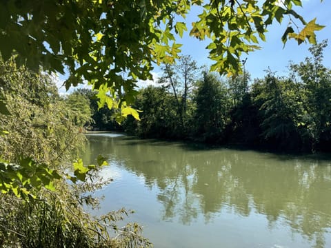 Garden, River view