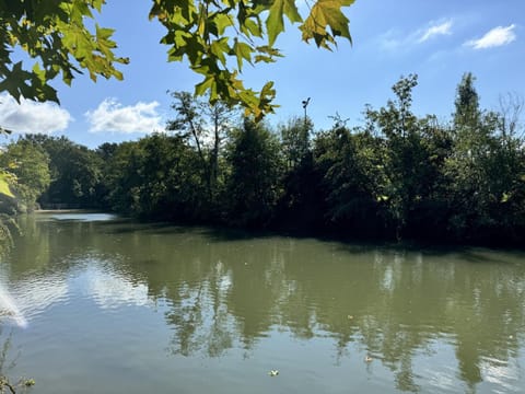 Garden, River view