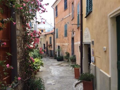 Property building, Neighbourhood, Street view