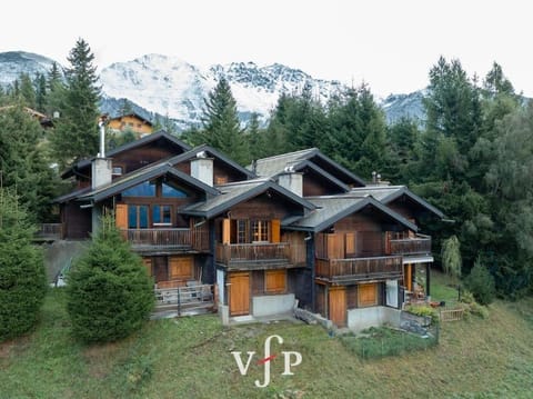 Appartement style chalet - vue sur les montagnes Apartment in Riddes