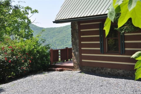 Mountain Lure House in Fontana Lake