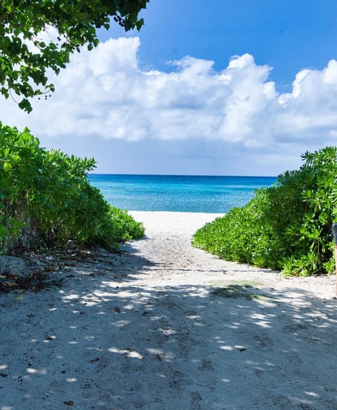 Beach Bliss by 7M Beach Apartment in Grand Cayman