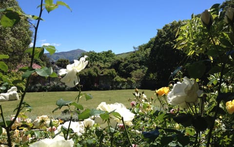 Blythcliffe Bed and Breakfast in Akaroa