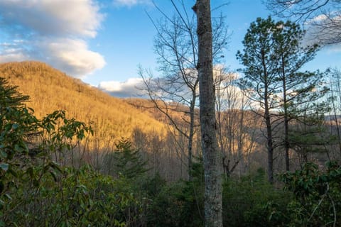 Deer Creek Lodge House in Swain County