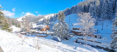 drevenica Geplovo Chalet in Slovakia