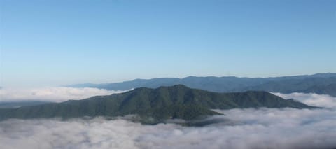 A Bear`s Retreat House in Bryson City