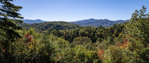 Lookout Lodge Maison in Fontana Lake