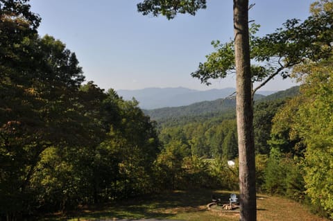 Bruins Den House in Swain County