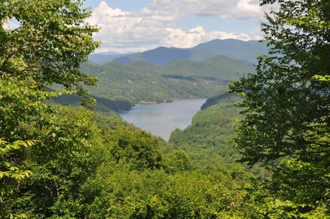 A Treehouse View Over Lake House in Fontana Lake