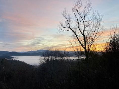 A Treehouse View Over Lake House in Fontana Lake