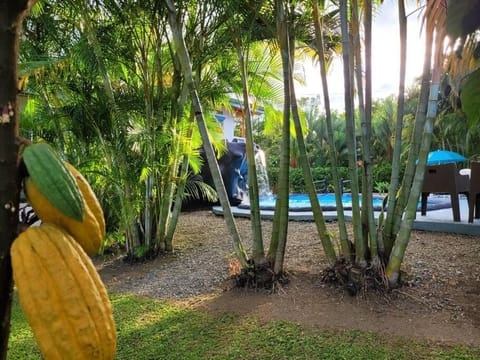 Garden view, Pool view