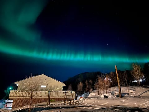 Property building, Off site, Night, Winter, Children play ground, On site, Seasons