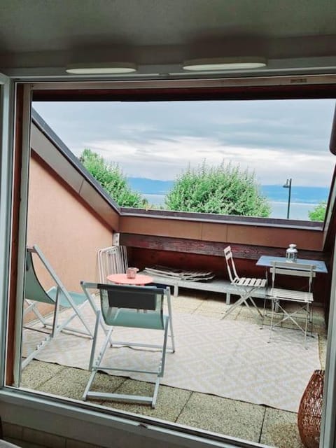 Thonon plage terrasse et parking Apartment in Thonon-les-Bains